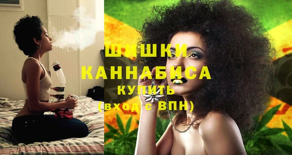 МДПВ Рославль