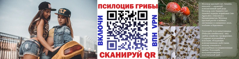 Псилоцибиновые грибы Cubensis  Североморск 