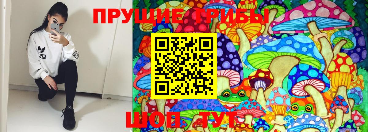 Псилоцибиновые грибы Cubensis  Вход с VPN  Псилоцибиновые грибы Psilocybine cubensis  Североморск 